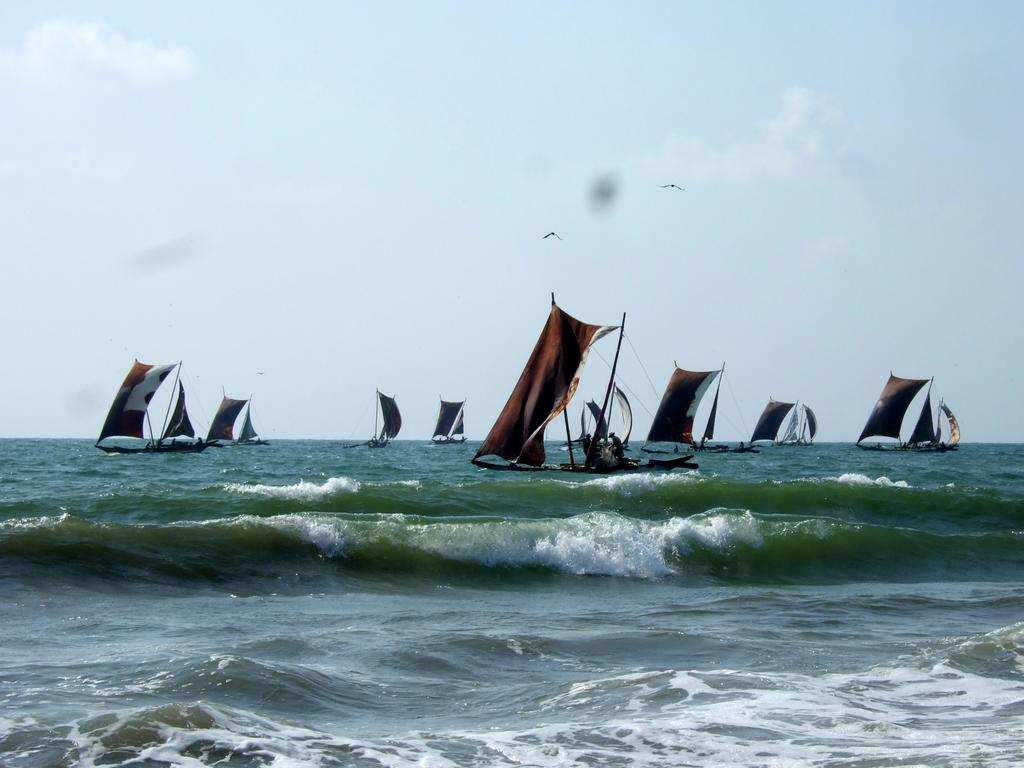 Ocean View Tourist Guest House At Negombo Beach Near The Airport Bagian luar foto